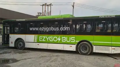 Ezy Go Bus Bus-Side Image