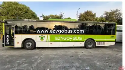 Ezy Go Bus Bus-Side Image