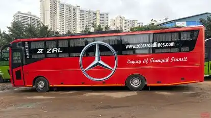 ZRL (Zebra Roadlines) Bus-Side Image