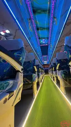 Shree Travels And Cargo Bus-Seats Image