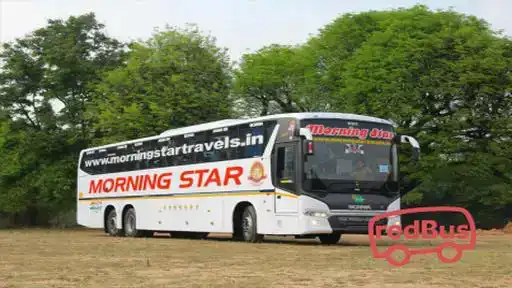 Morning  star  travels Bus-Front Image