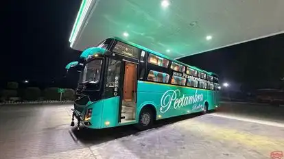 P.T. Radhey Travels Bus-Side Image