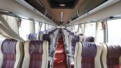 Skyline Bus-Seats Image