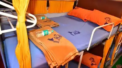 Shreeshail Travels Bus-Seats Image
