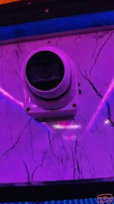 Shri Balaji Travels and Cargo Bus-Seats layout Image