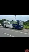 Anand Tours And Travels Bus-Front Image