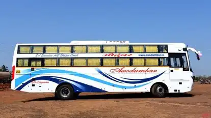 Audumbar Chhaya Tours and Travels Bus-Side Image