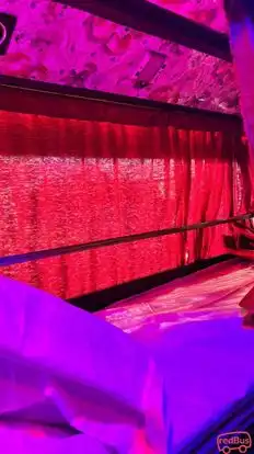 Shree Meera Travels Bus-Seats Image