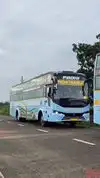 Padhi Travels Bus-Front Image