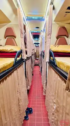Shree Balaji Travels and Cargo Bus-Seats Image
