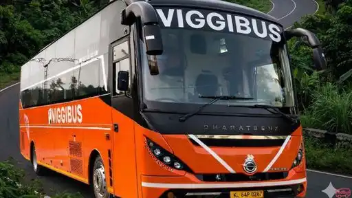 Viggi Bus Bus-Front Image