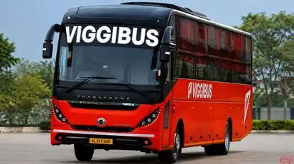 Viggi Bus Bus-Front Image