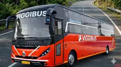 Viggi Bus Bus-Front Image