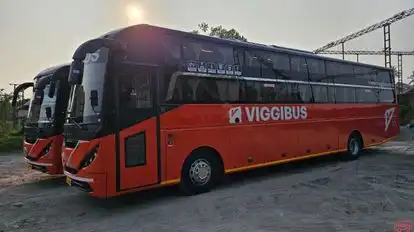 Viggi Bus Bus-Side Image