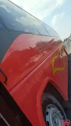 MEENA TOUR AND TRAVELS Bus-Side Image