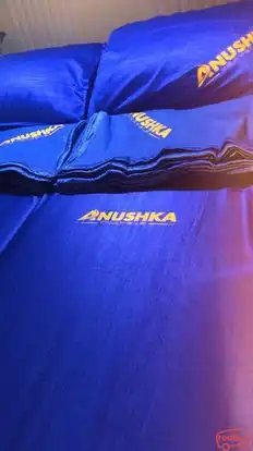 Anushka Travels Bus-Seats Image