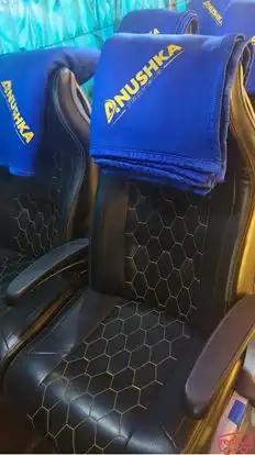 Anushka Travels Bus-Seats Image