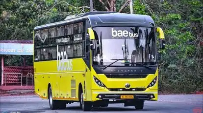 Bae Bus Bus-Front Image