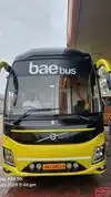 Bae Bus Bus-Front Image