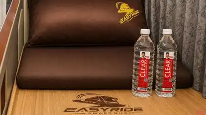 EASYRIDE SMART BUS Bus-Amenities Image