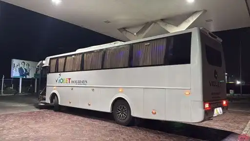  VIOLET HOLIDAYS Bus-Front Image