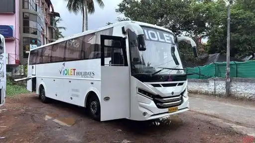  VIOLET HOLIDAYS Bus-Front Image