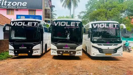  VIOLET HOLIDAYS Bus-Front Image