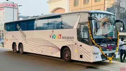  VIOLET HOLIDAYS Bus-Front Image