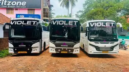  VIOLET HOLIDAYS Bus-Front Image