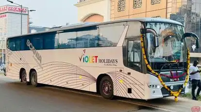  VIOLET HOLIDAYS Bus-Side Image