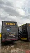 Shree Shyam Bus Services Bus-Front Image