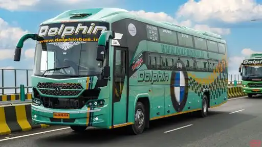 Dolphin  travel  house Bus-Front Image