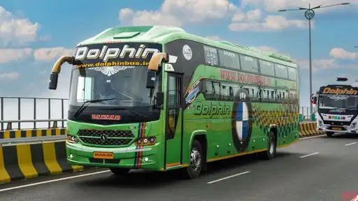 Dolphin  travel  house Bus-Front Image
