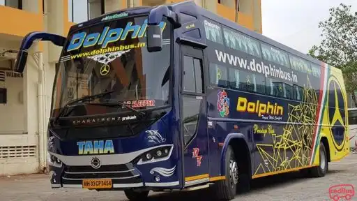 Dolphin  travel  house Bus-Front Image