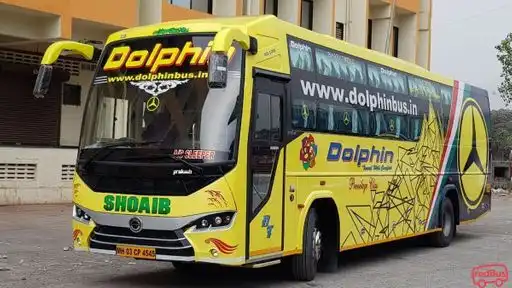 Dolphin  travel  house Bus-Front Image