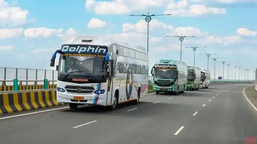 Dolphin  travel  house Bus-Front Image