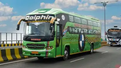 Dolphin  travel  house Bus-Front Image
