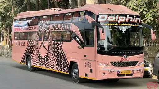 Dolphin  travel  house Bus-Front Image