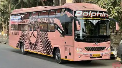 Dolphin  travel  house Bus-Front Image
