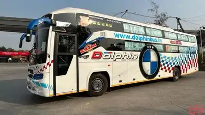 Dolphin  travel  house Bus-Side Image