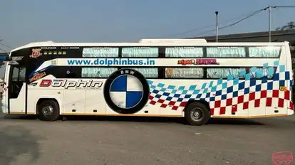 Dolphin  travel  house Bus-Side Image