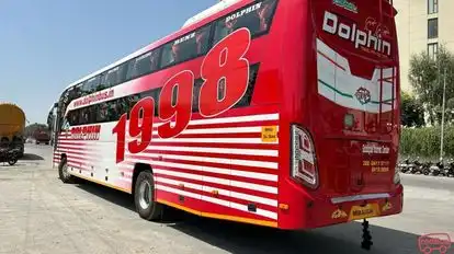 Dolphin  travel  house Bus-Side Image