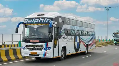 Dolphin  travel  house Bus-Front Image