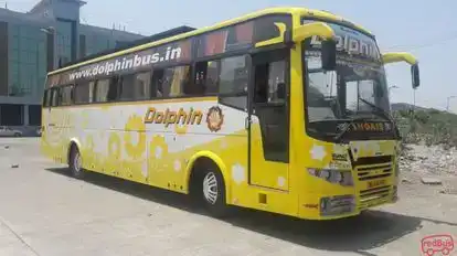 Dolphin  travel  house Bus-Side Image