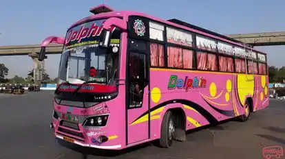 Dolphin  travel  house Bus-Side Image