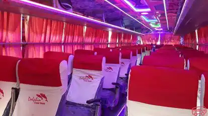 Dolphin  travel  house Bus-Seats Image