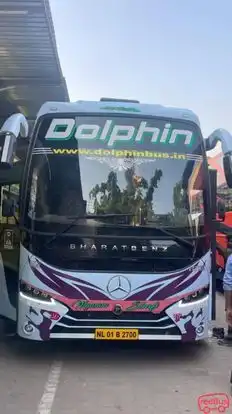 Dolphin  travel  house Bus-Front Image