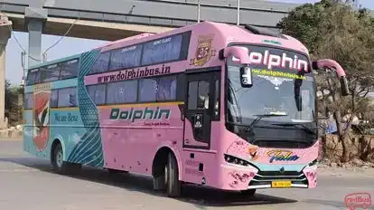 Dolphin  travel  house Bus-Front Image