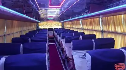 Dolphin  travel  house Bus-Seats layout Image