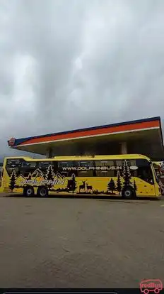 Dolphin  travel  house Bus-Side Image